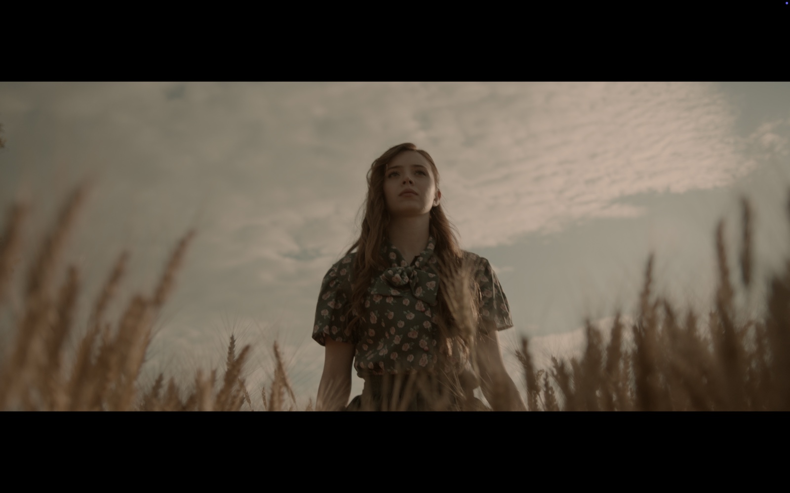 Radyo Günleri — A woman standing among tall golden crops.