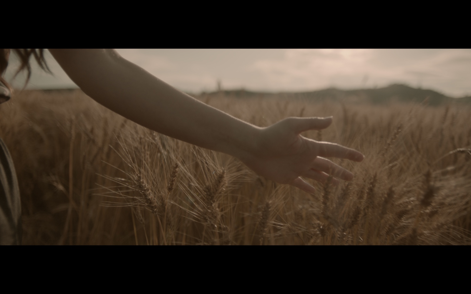 Radyo Günleri — A hand brushing through a golden field.